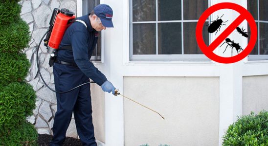 Çayeli Gümüşkurt İlaçlama böcek ilaçlama ve haşere kontrolü — ilaclama-tr.com